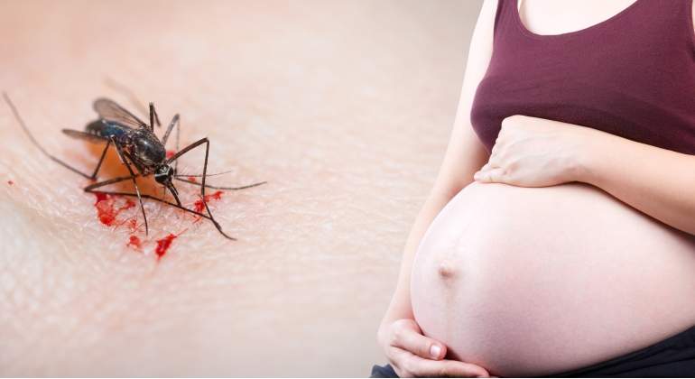 El virus del zika durante el embarazo