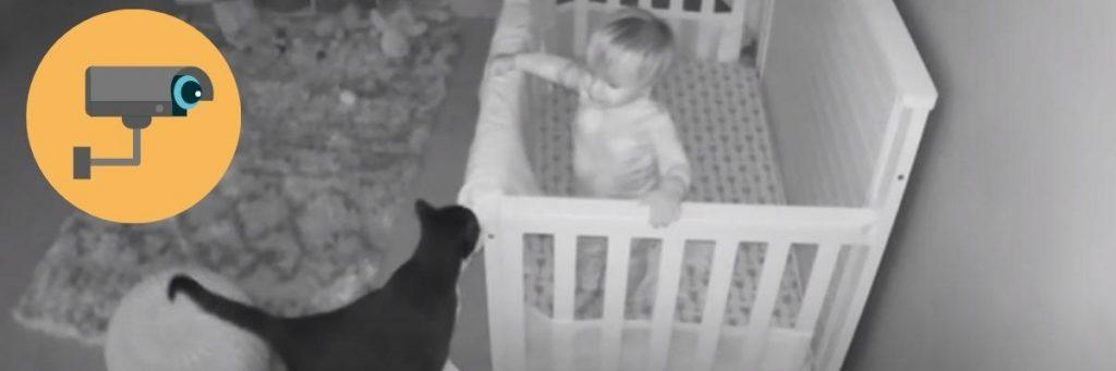 Videos divertidos de bebes y mascotas captados por las cámaras de seguridad-2